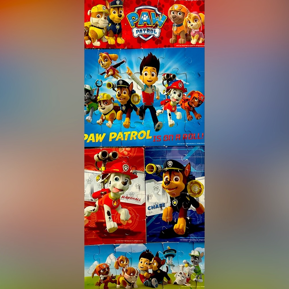 Nickolodeon Wooden Paw Patrol Set of 5 Puzzles
Used All Pieces Present